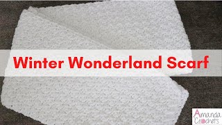 Winter Wonderland Scarf  Easy Crochet Scarf Tutorial [upl. by Claudell]