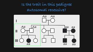 Autosomal Recessive Traits in a Pedigree [upl. by Alexandro]