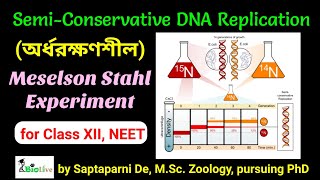 Meselson Stahl Experiment SemiConservative Mode of DNA Replication [upl. by Mord]