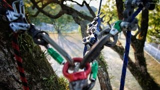 Tree Climbing  Onyx Arborist SaddleDMM Axis Swivel Test  Gopro BULLDOG BORN BOLA Captain Hook [upl. by Funk871]