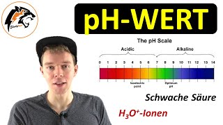 Der pHWert erklärt  NEU [upl. by Nilloc]