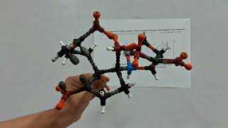 Visualizing ProlineCatalysed Asymmetric Aldol Transition State [upl. by Annawaj123]