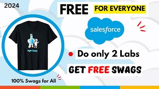 Get New Salesforce Swags for Free  How to get Salesforce swags in 2024 [upl. by Kampmeier]