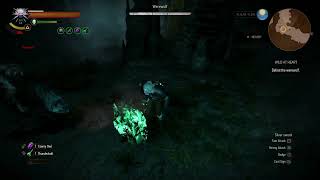 The Witcher 3 Wild Hunt  Niellen Werewolf BossFight Death March [upl. by Irena]