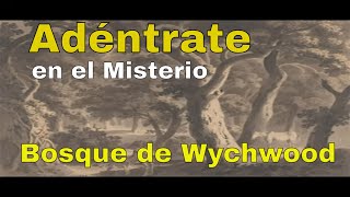 El Oscuro Misterio del Bosque de Wychwood ¿Te Atreves a Entrar [upl. by Jacobina]