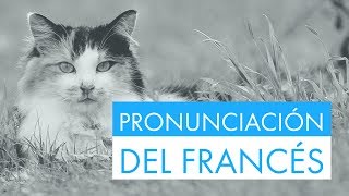 Practica la pronunciación del francés con frases útiles y fáciles [upl. by Nerdna]