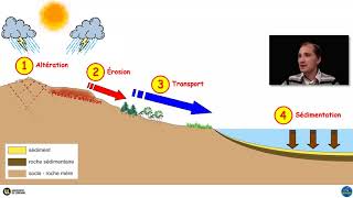 Le cycle des roches sédimentaires par Yann Hautevelle [upl. by Yra]