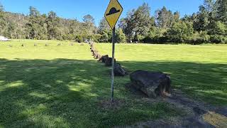 Bendeela campground Bundeena nsw Walk along [upl. by Ahsenrat]