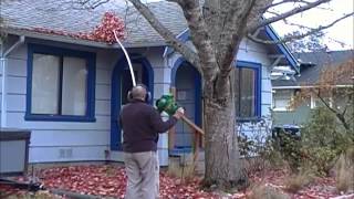 Blowing leaves off roof without getting on the roof [upl. by Moriyama]