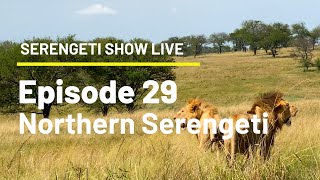 Episode 29 – Northern Serengeti [upl. by Thurmond]