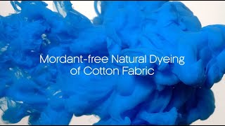 Mordantfree Natural Dyeing of Cotton Fabric [upl. by Sean676]