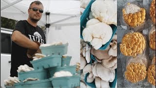 7 Years Of Mushroom Farming Has Taught Me This [upl. by Ilocin]