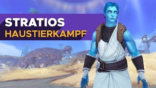 Stratios 🐾  Haustierkampf Guide WoW [upl. by Ewart]