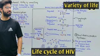 Virus Life Cycle HIV  Sarah Clifford Illustration Tutorial [upl. by Sualakcin]