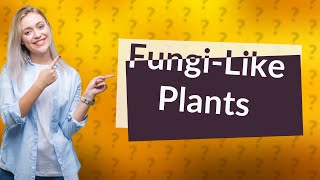 What characteristics do fungi have that plants don t [upl. by Alexandr]