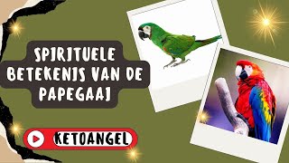 Spirituele Betekenis van de Papegaai Symboliek en Inzichten [upl. by Doroteya]