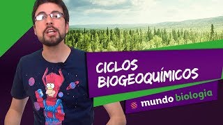 🌱 Ecologia 27 Ciclos Biogeoquímicos  Biologia  ENEM [upl. by Mcwilliams]