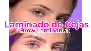 Brow Lamination  Laminado de Cejas y Tinte THUYA [upl. by Johnnie957]