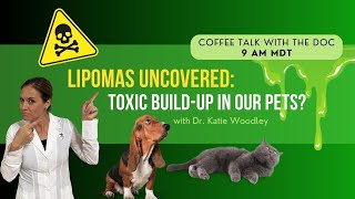 Lipomas Uncovered Toxic Buildup In Pets [upl. by Eceinahs809]