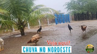 Chuva Continua em áreas do Nordeste v11 [upl. by Zarah]