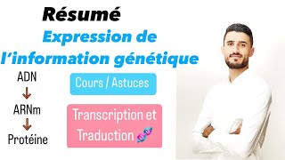 Résumé naaadi expression de l’information génétique  Transcription et Traduction  Mutation [upl. by Ocisnarf]