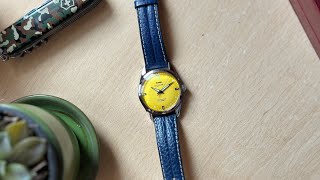 HMT Yellow Pilot [upl. by Ilarrold]