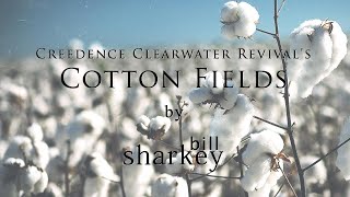 Cotton Fields  Creedence Clearwater Revival coverlive by Bill Sharkey [upl. by Sairu116]