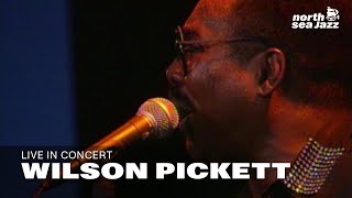 Wilson Pickett  Hey Jude  North Sea Jazz 1995 [upl. by Riabuz]