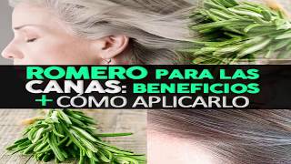 Cómo Aplicar El Romero Para Oscurecer Las Canas Y Qué Beneficios Tiene Para Tu Cabello [upl. by Aihsit]