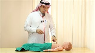 Pediatric Cardiovascular Assessment Physical Examination  Dr Zaher Faisal Zaher [upl. by Eintruoc]