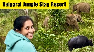 വാൽപ്പാറയിൽ കാട്ടിൽ താമസിക്കാം Stay in forest Jungle Stay Resort Valparai travelforest [upl. by Silra560]