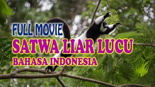 Koleksi Film Dokumenter  Binatang Lucu Menggemaskan di Pulau yang Indah Bahasa Indonesia [upl. by Nahrut836]