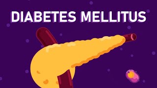 What is Diabetes Mellitus  Understanding Diabetes  Diabetes Type 1 and Type 2 [upl. by Adolphus]