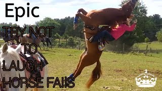 Try not to laugh  horse fails [upl. by Gniw]