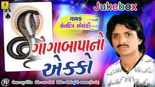 Goga Bapa No Ekko  Goga Ji Song  Chetan Kumar Song  Goga Maharaj Song  Jhankar Music [upl. by Okoy]