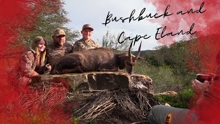 Hunting Cape Bushbuck and Cape Eland in one day [upl. by Zacks]