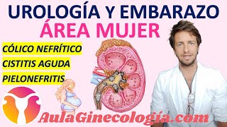 UROLOGÍA Y EMBARAZO CÓLICO NEFRÍTICO CISTITIS AGUDA PIELONEFRITIS  Ginecología y Obstetricia [upl. by Currey]