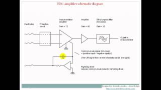 Understanding EEG Part8 EEG Localization and amplifiers What is electroencephalography EEG [upl. by Otrebile]