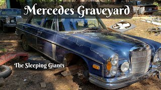 Mercedes 300 SEL 63 Graveyard [upl. by Gulick]