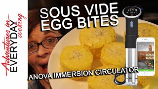 Sous Vide Egg Bites  Adventures in Everyday Cooking [upl. by Aiynot]