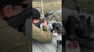 22 ARC 18” Proof barrel shooting 88 ELDM’s at 515 yards shorts ar15 tactical hunting gun [upl. by Diannne]