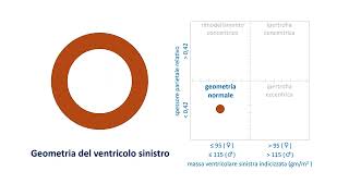 Geometria del ventricolo sinistro [upl. by Wincer666]