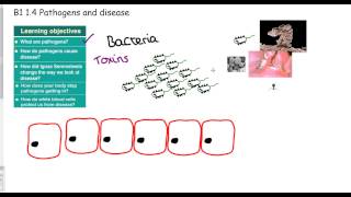 GCSE science Invasion of the pathogens [upl. by Teirtza68]