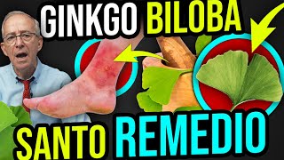 🌿 GINKGO BILOBA Beneficios Y Como Tomarlo  Oswaldo Restrepo RSC [upl. by Yedoc]