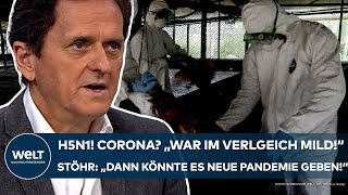 H5N1 quotCorona war im Vergleich mildquot Vierter VogelgrippeFall in USA Neue Pandemie Das sagt Stöhr [upl. by Giule590]