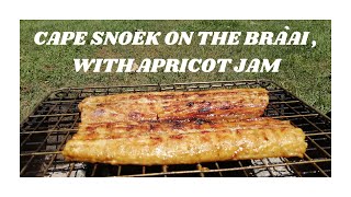 How to braai Snoek with apricot jam [upl. by Enaywd]