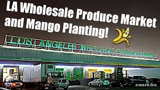 LA Wholesale Produce and Mango Planting w The Raw Advantage [upl. by Eenyaj670]