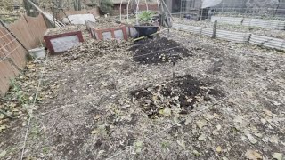 Adding a couple of in ground beds to the garden Part 1 [upl. by Niko]