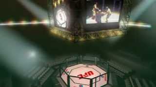 Stereo 3d UFC Arena Octagon YT3DEnabledTrue [upl. by Sherborne]