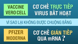 VEROCELL DÙNG TRỰC TIẾP VIRUS BẤT HOẠT LẠI KHÔNG ĐƯỢC CHUỘNG NHƯ VACCINE CƠ CHẾ GIÁN TIẾP QUA mRNA [upl. by Benjamen583]